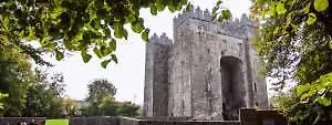 Temple Gate 4*